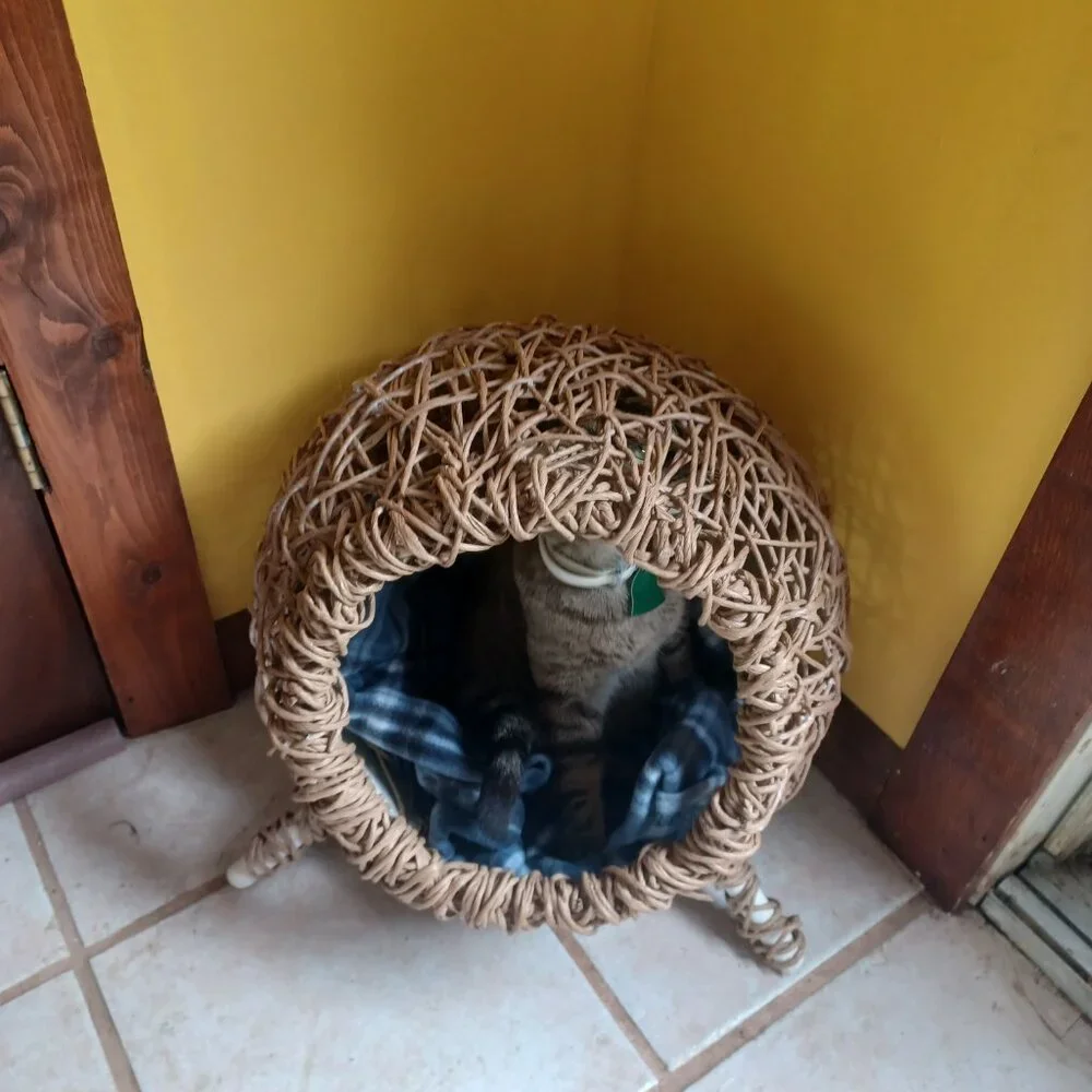 Homemade FiberRush Cat/Dog Bed small/med